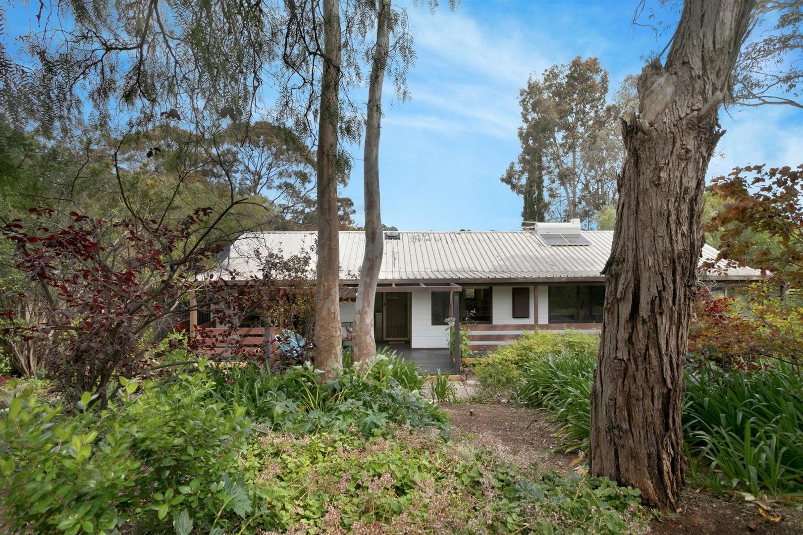 23 Woodworth Street, Blackwoo Property History & Address Research