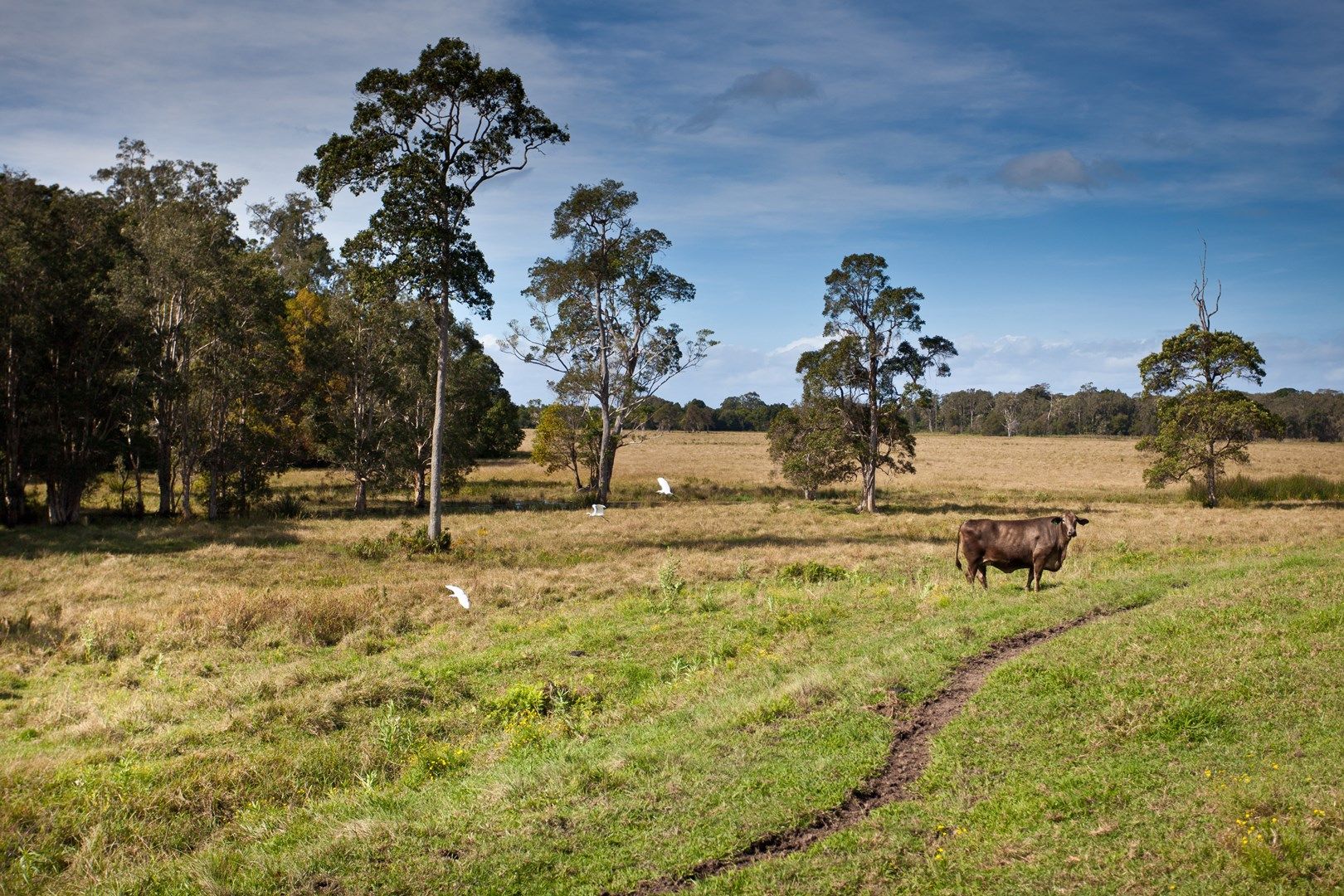 212 The Manse Road, Myocum NSW 2481, Image 0