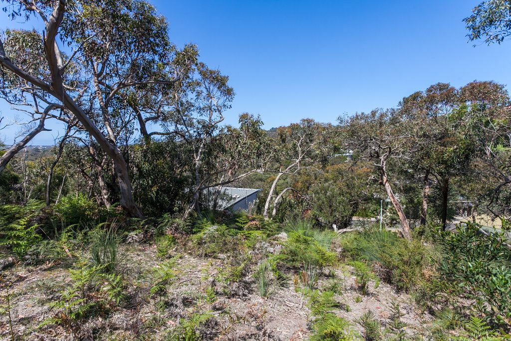 30 Niblick Street, Anglesea VIC 3230, Image 0