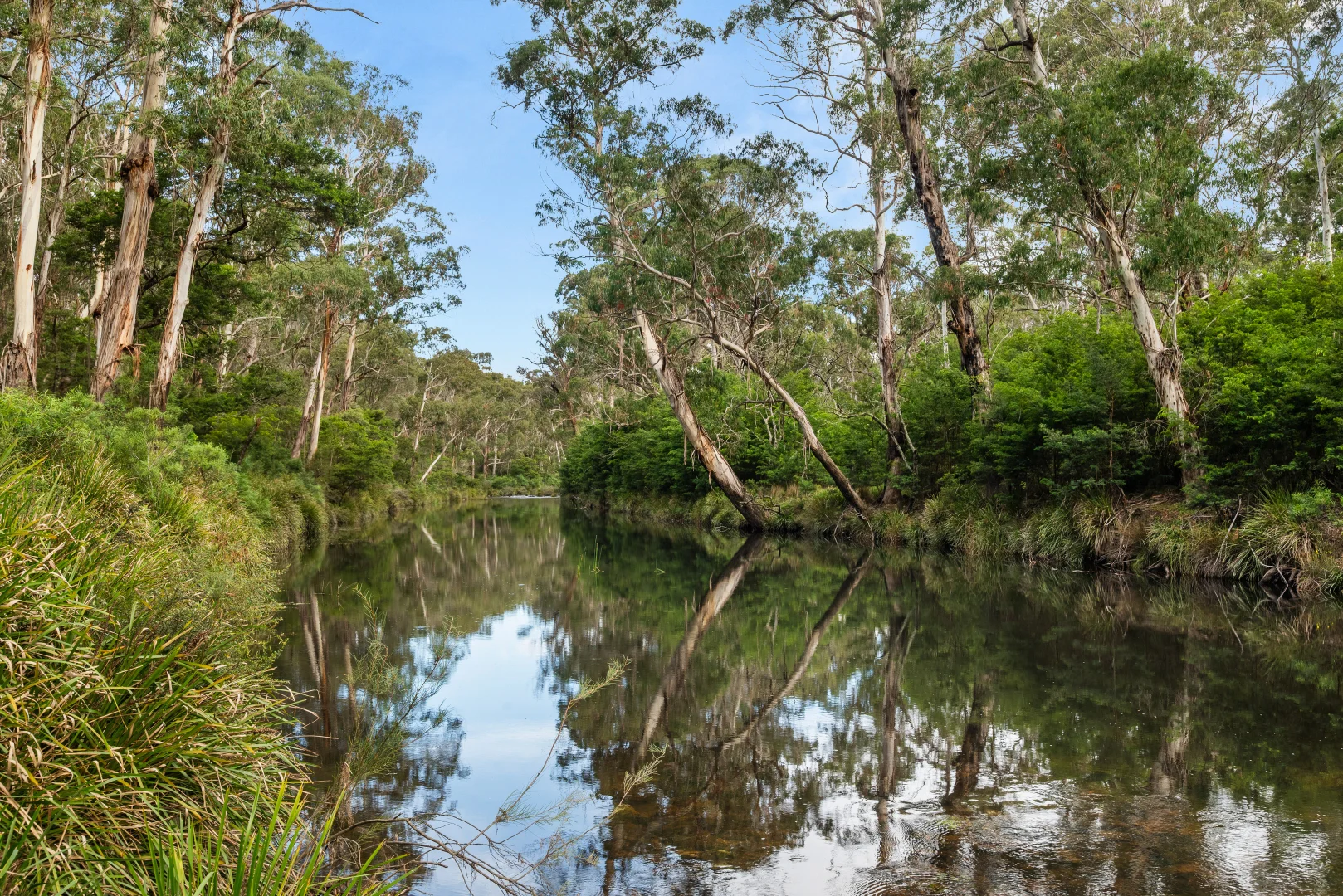 Additional image 20 of 497 Northangera Road, Braidwood NSW 2622