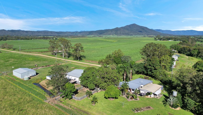 Picture of 98 Williams Road, PINNACLE QLD 4741