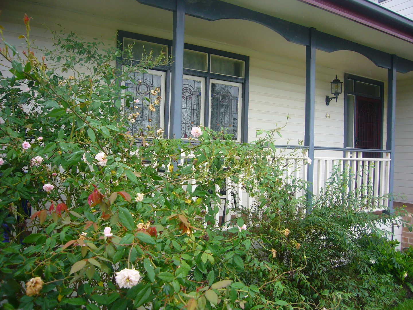 Image 2