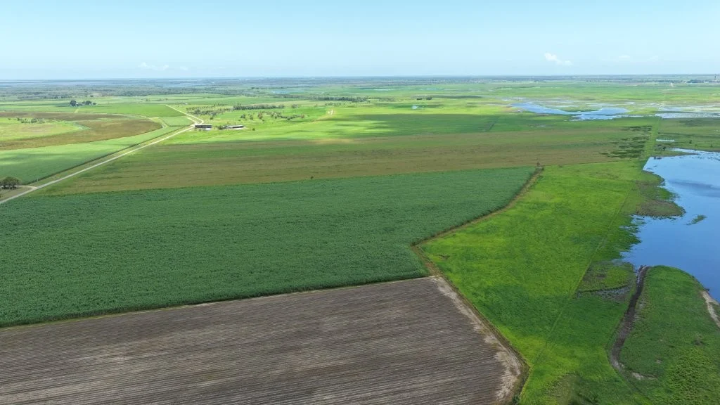 Additional image 22 of 162 Becker Road, Brandon QLD 4808