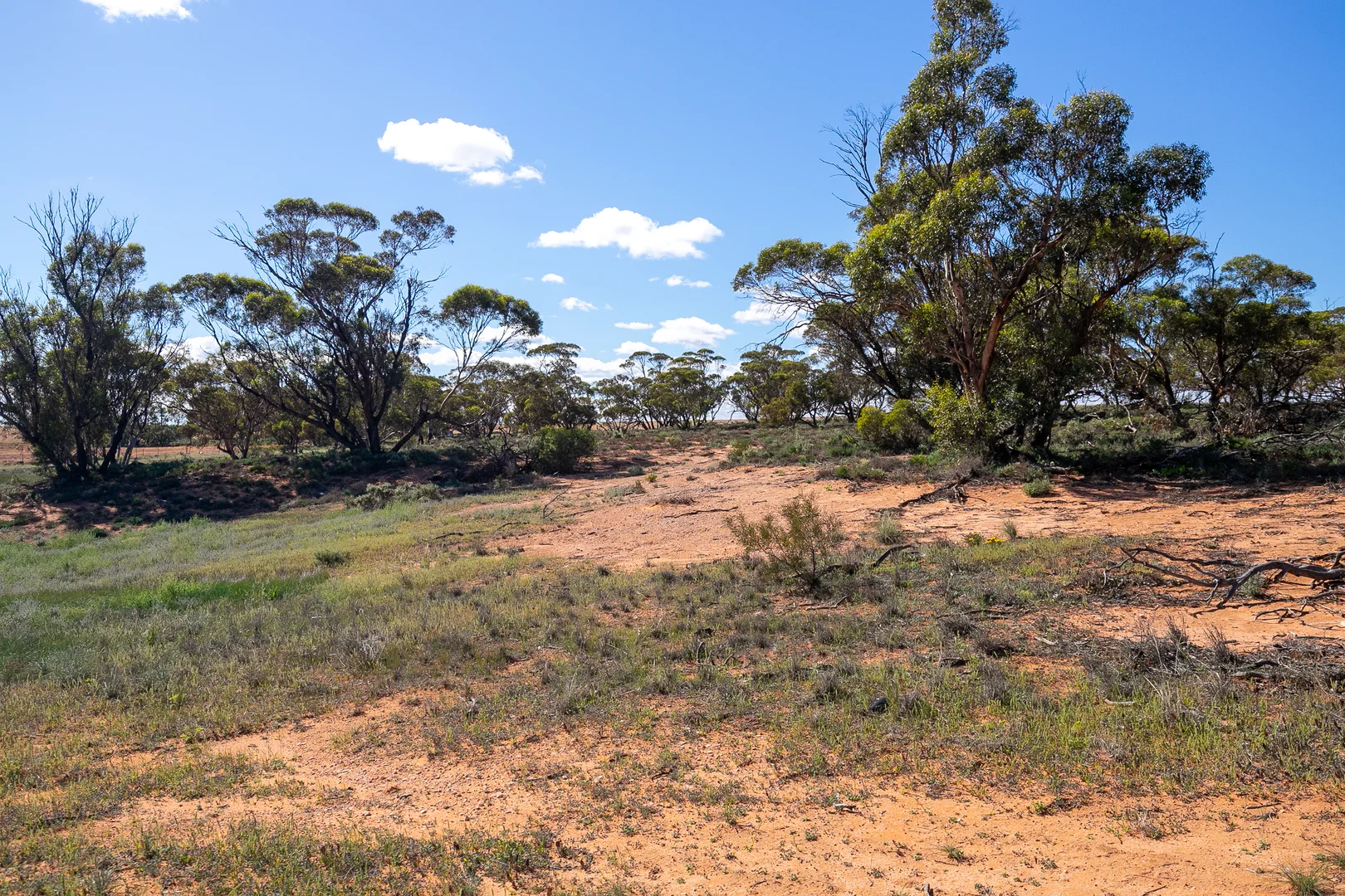 Image 15