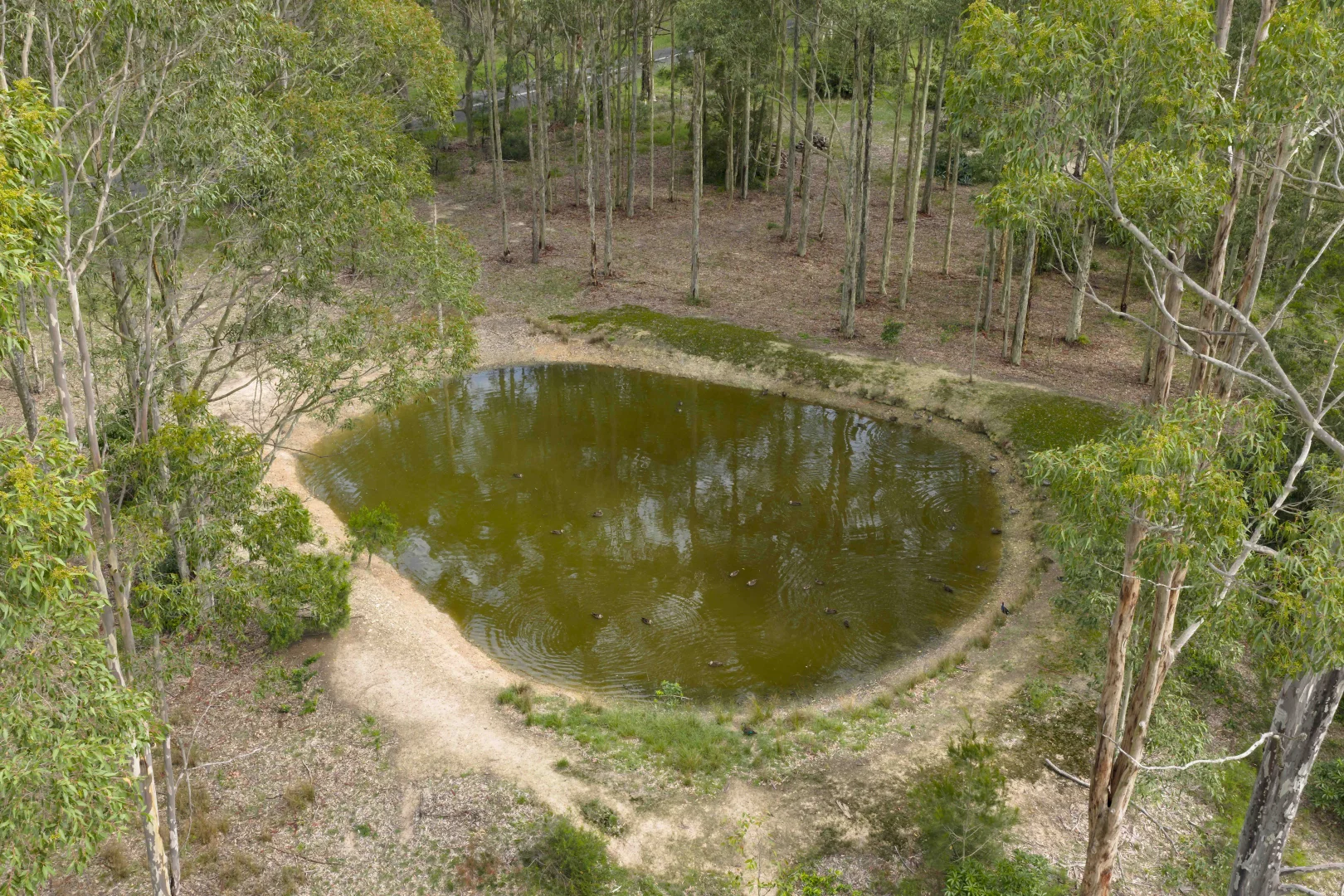 Additional image 41 of 2 Reign Close, Worrigee NSW 2540