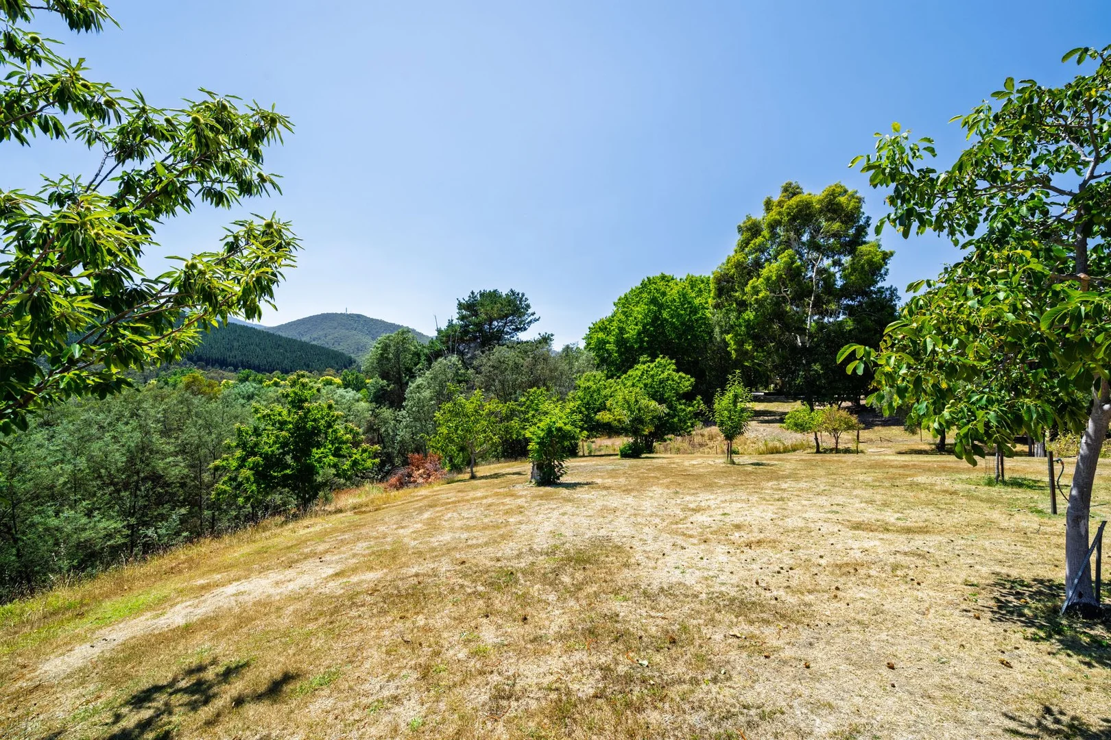 Additional image 27 of 1 James Close, Bright VIC 3741