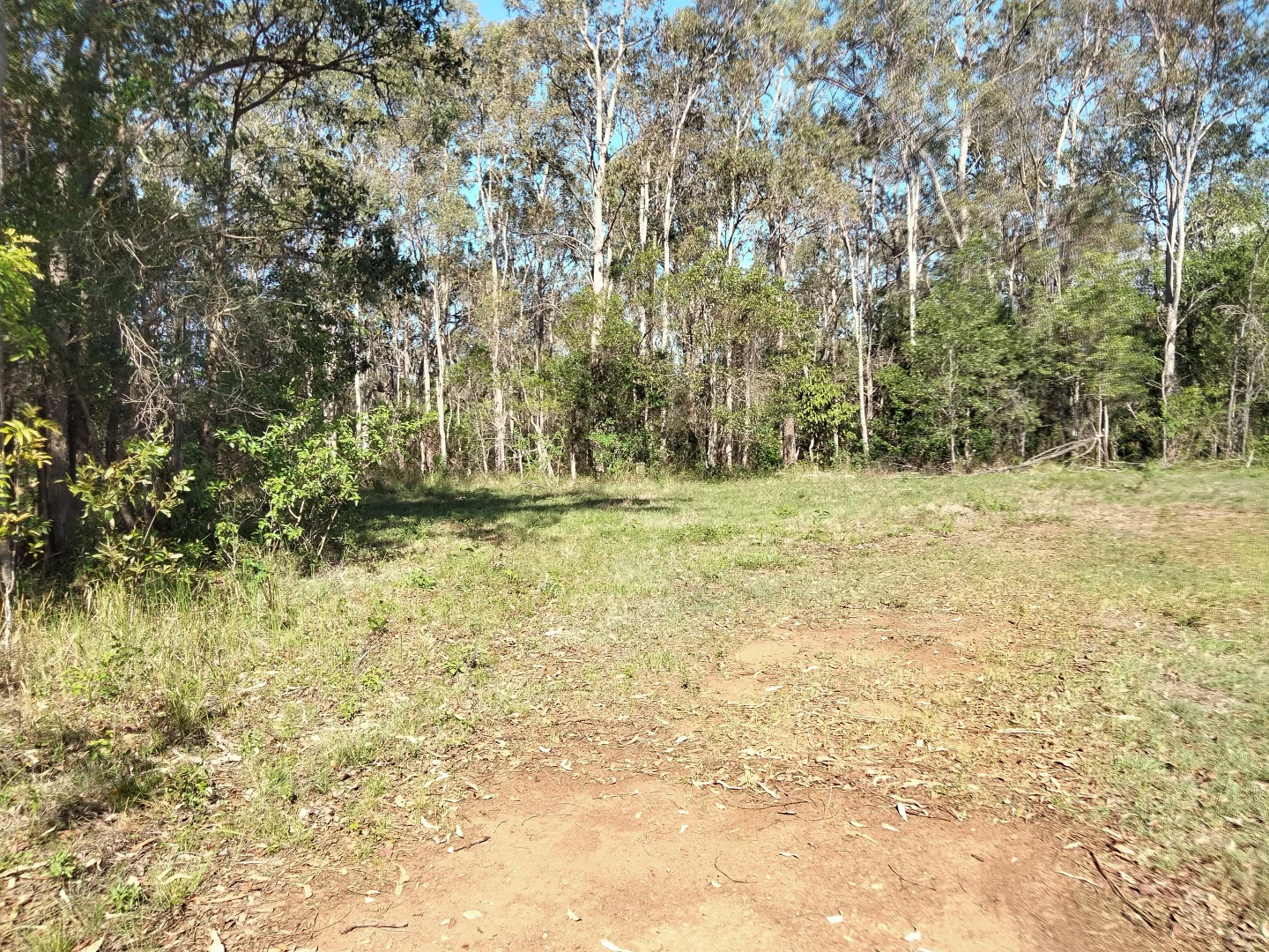 Image 43