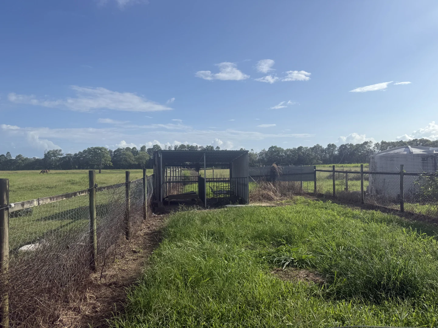 Image 10