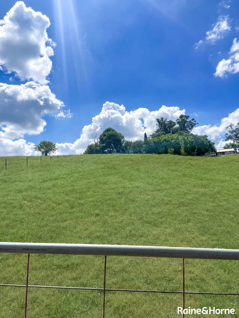 Additional image 2 of 96 Whites Road, Young NSW 2594