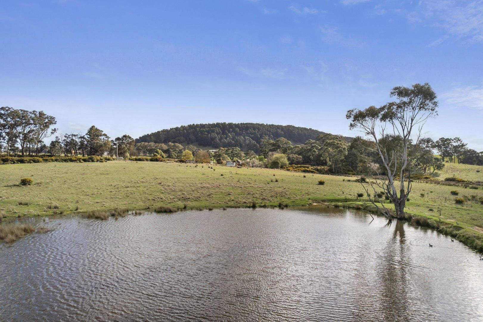 219 Leslies Road, Mount Franklin VIC 3461, Image 0