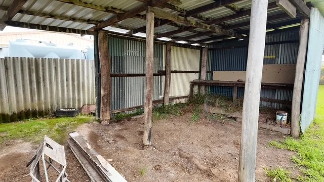 Image 16