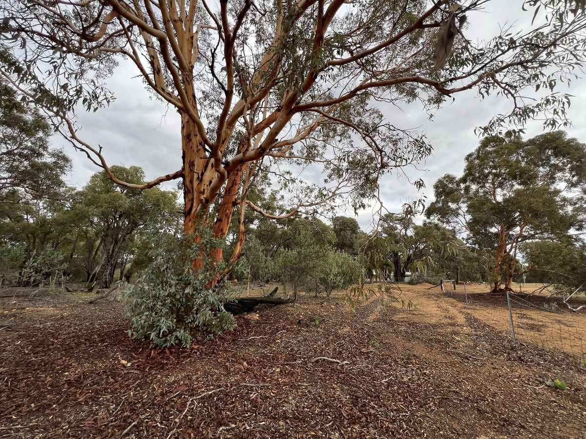 Toodyay WA 6566, Image 1