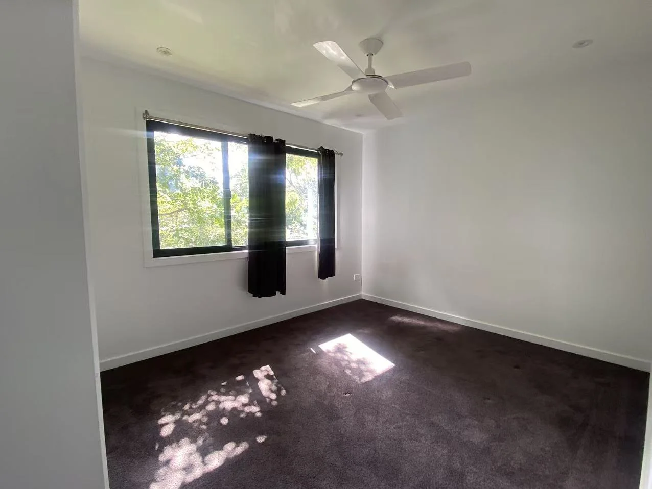 Additional image 5 of Angophora Crescent, Forestville NSW 2087