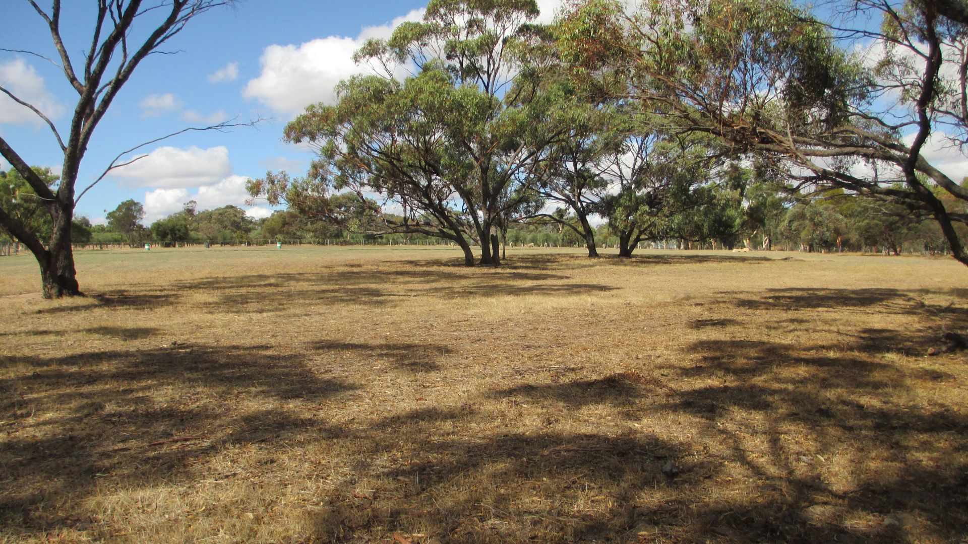 Lot 398 Somerset Street, Pingelly WA 6308 Vacant Land for Sale