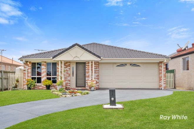Picture of 8 Justin Place, CRESTMEAD QLD 4132
