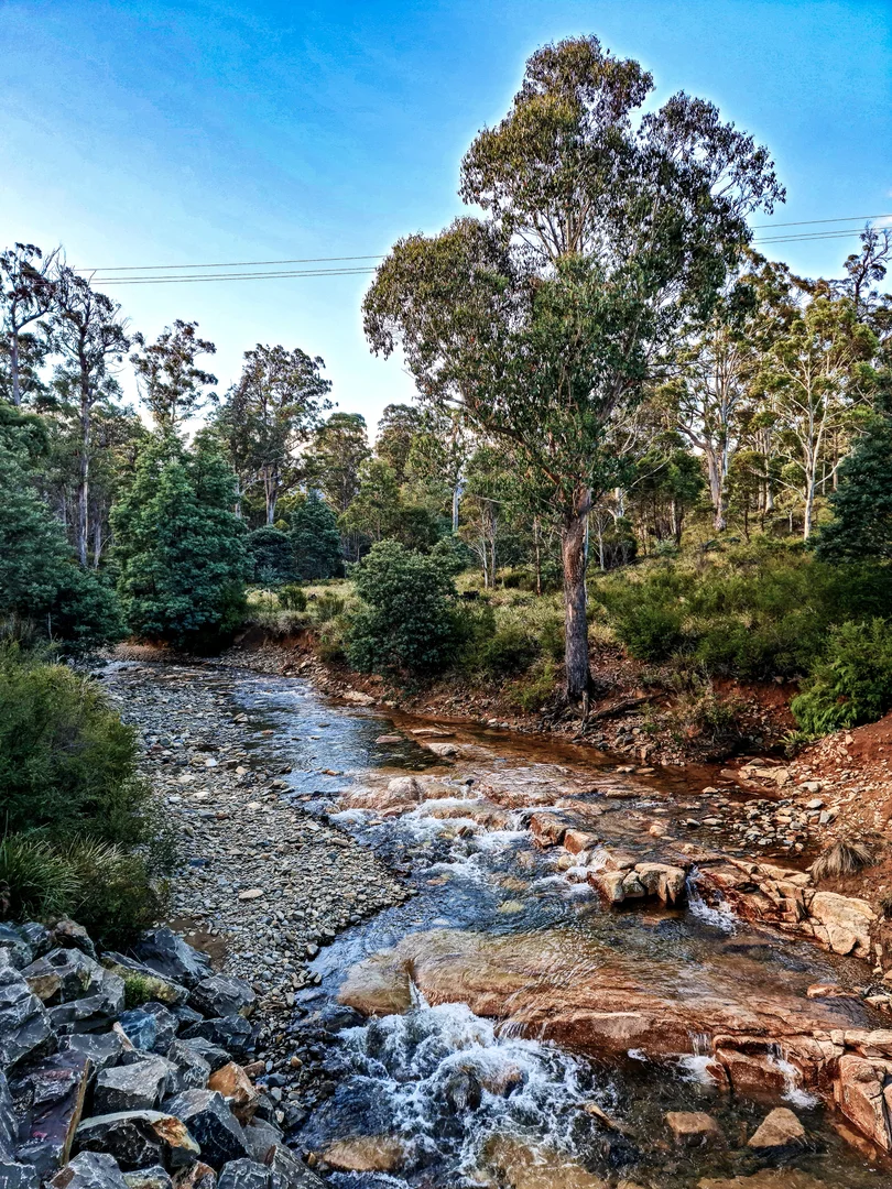 Image 13