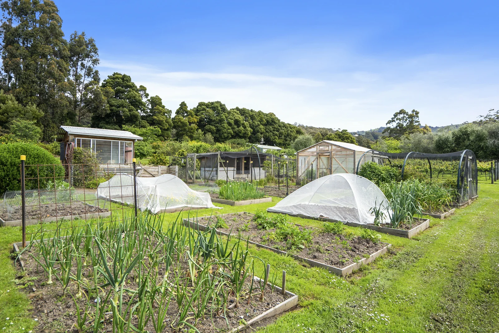 Additional image 24 of 164 Saddle Road, Kettering TAS 7155