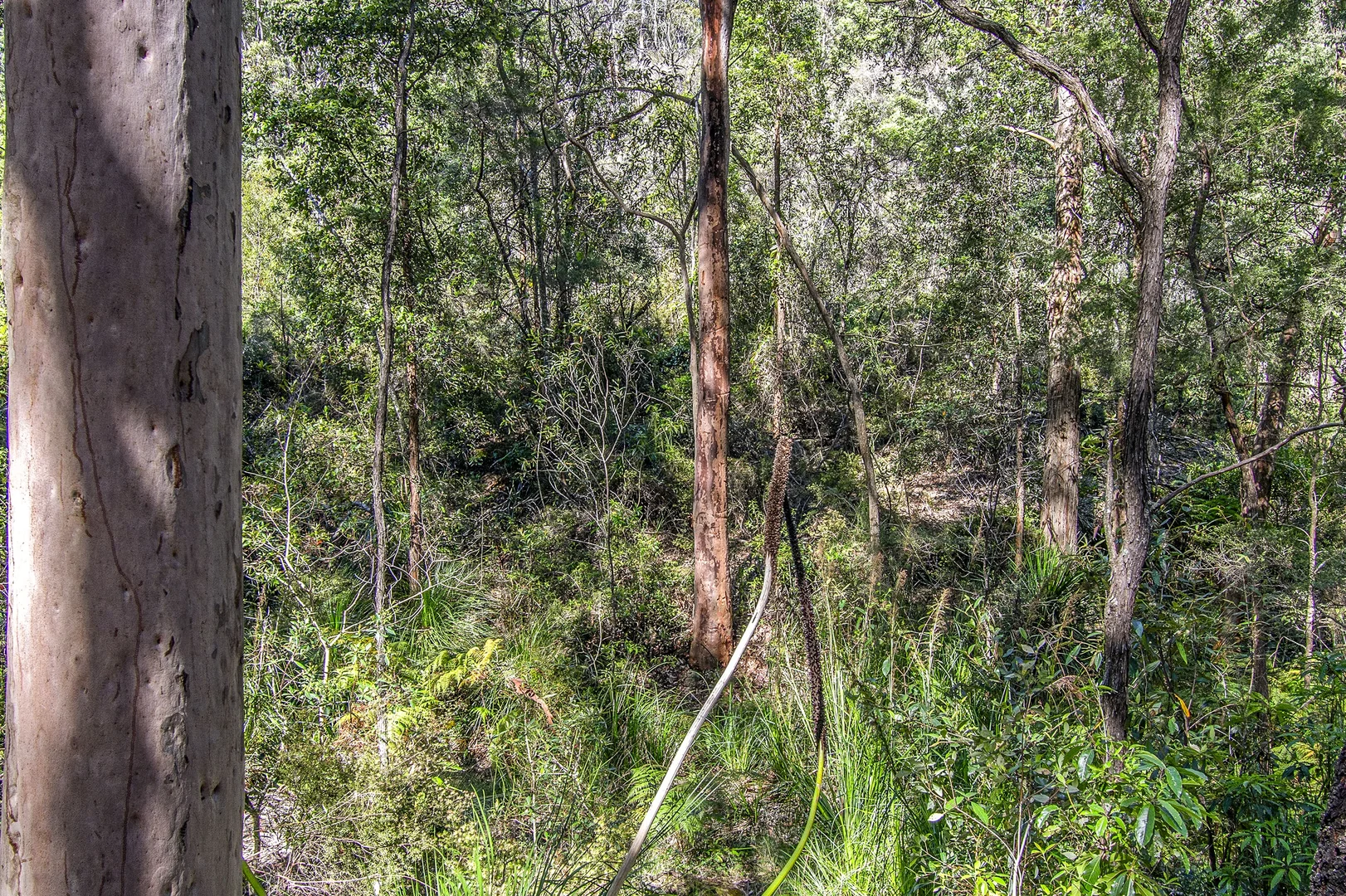 Image 6