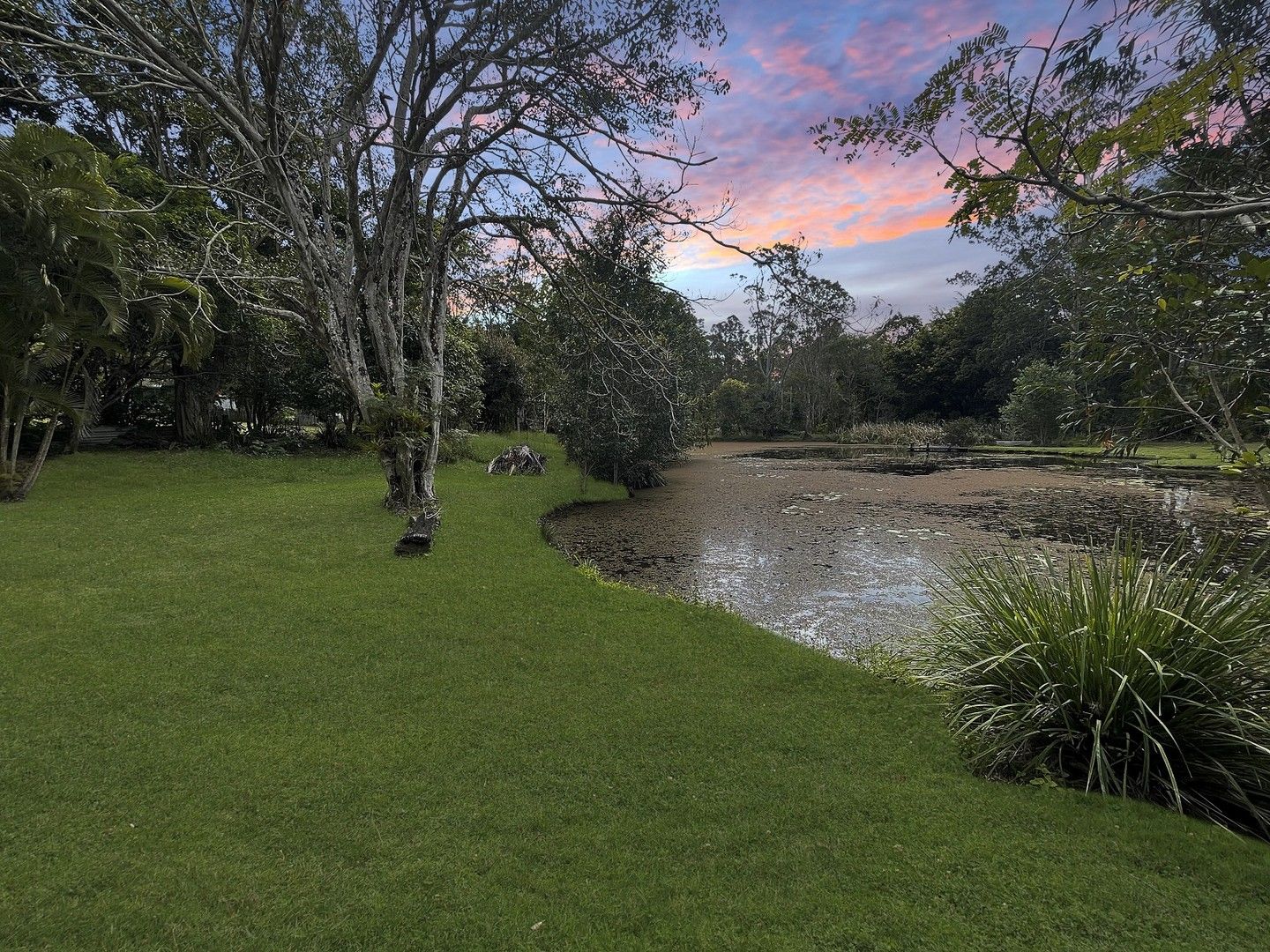 104 Neill Road, Mooloolah Valley QLD 4553, Image 0