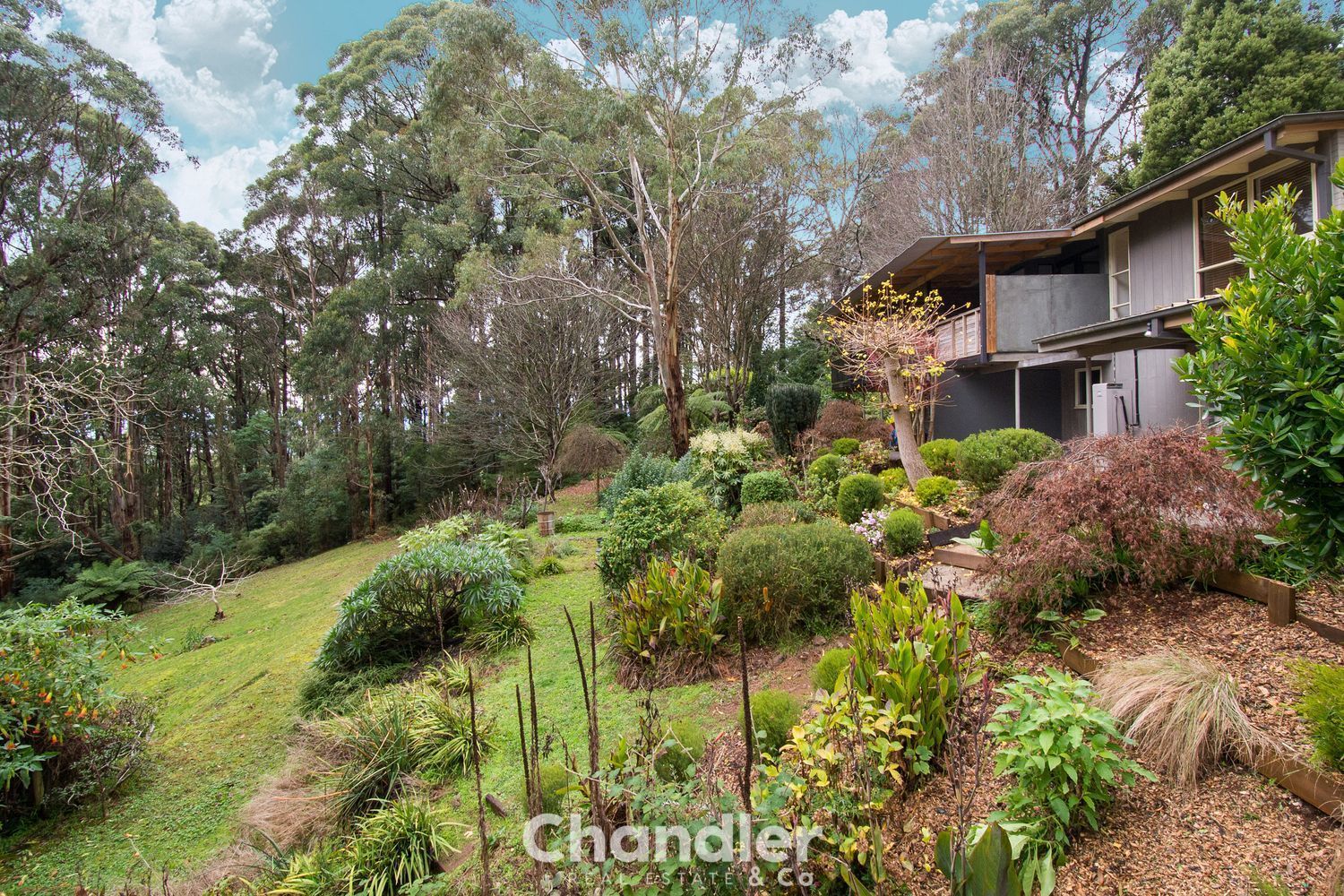163 Olinda Monbulk Road, Olinda VIC 3788 House for Sale Domain
