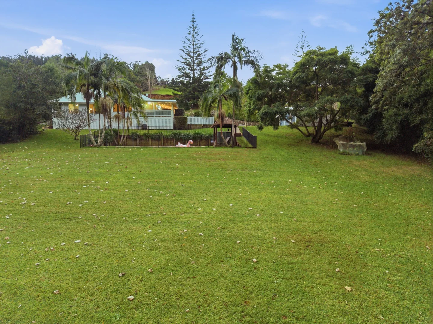 Image 36