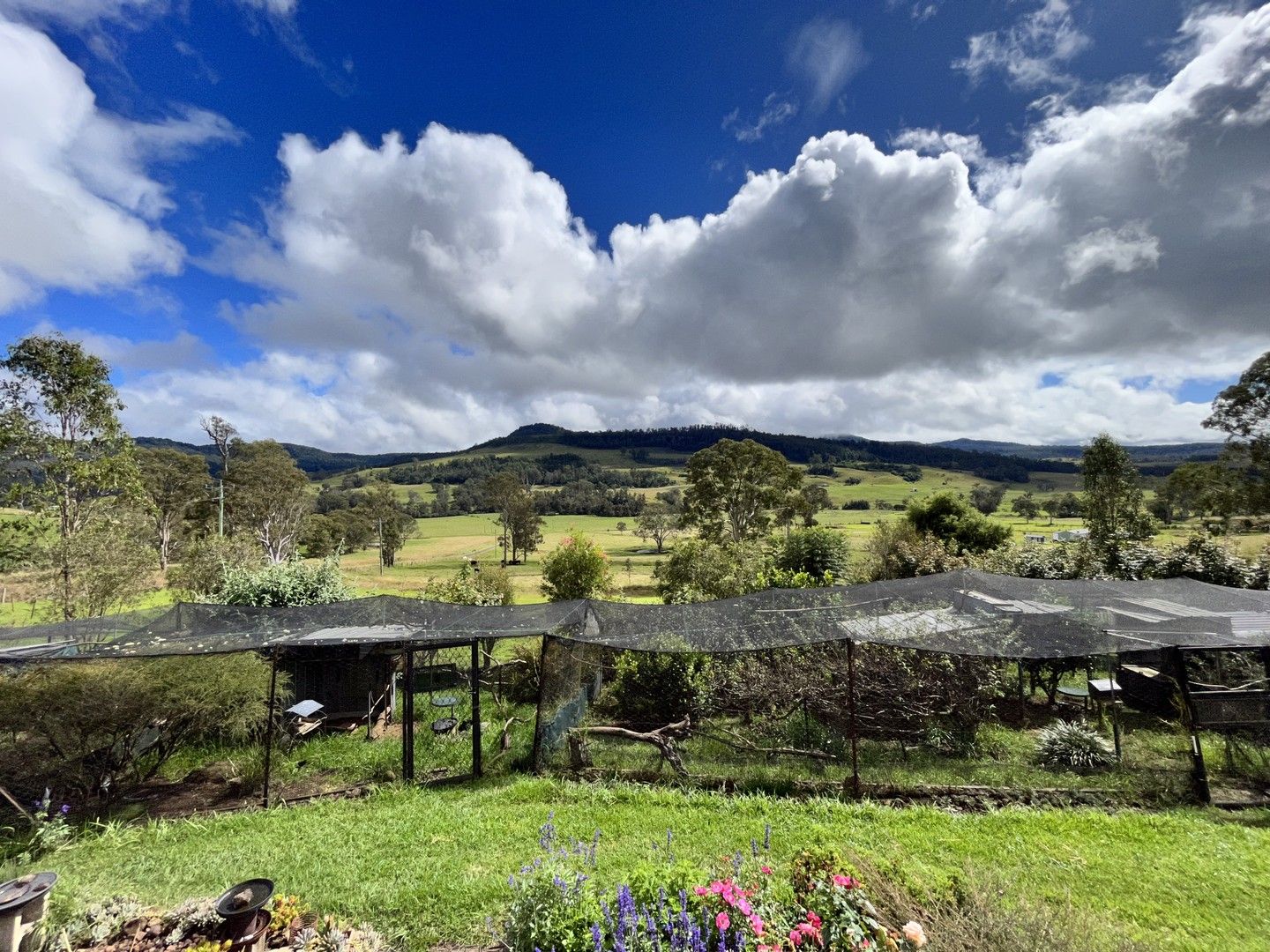 414 Urbenville Road, Urbenville NSW 2475, Image 0