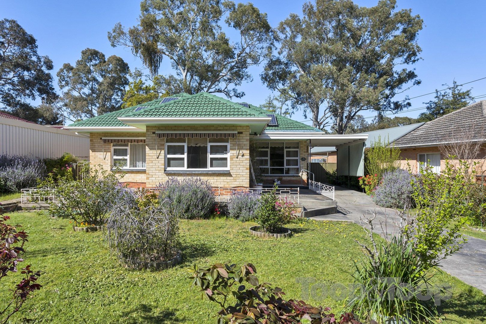 18 Marsha Drive, Banksia Park SA 5091, Image 0