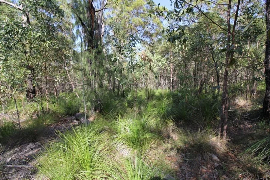 Image 34