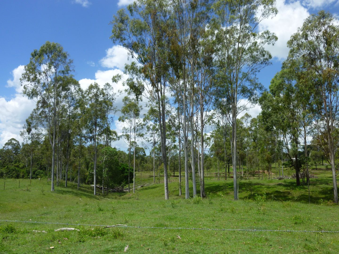 Lot 2 HAYLOCKS ROAD, Pine Creek QLD 4670, Image 2