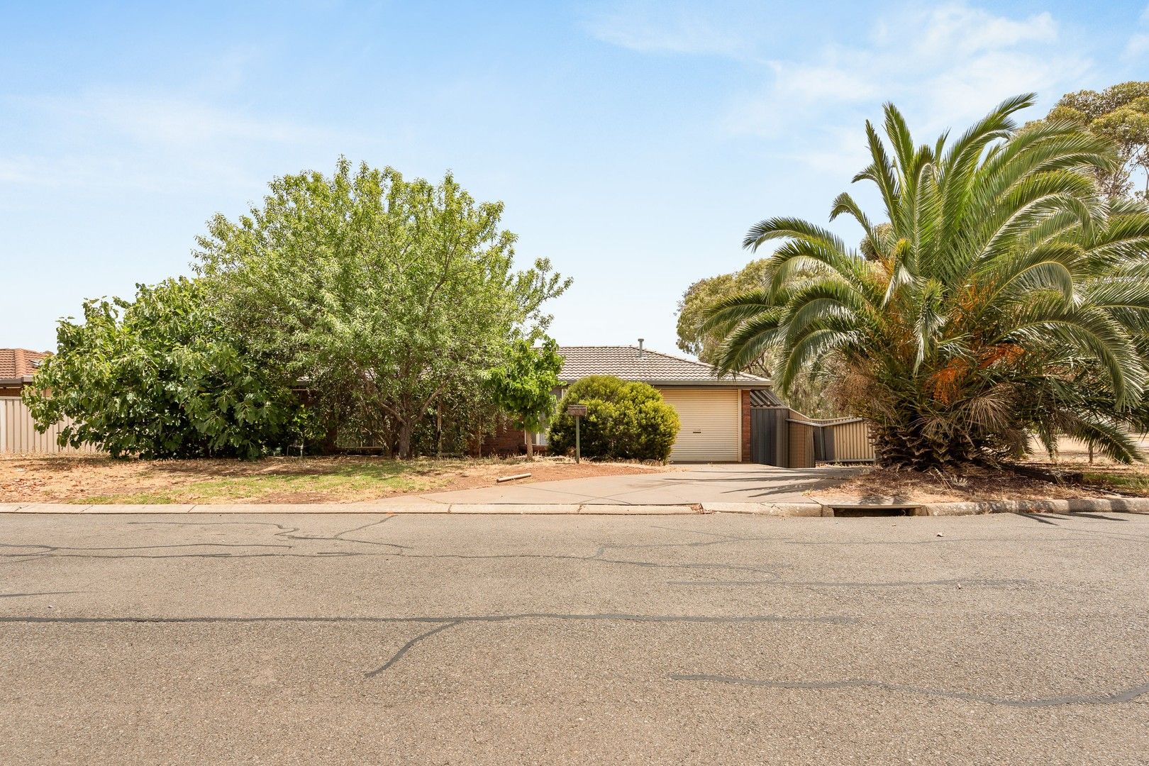 20 Megunya Crescent, Craigmore SA 5114 House For Rent 500 Domain