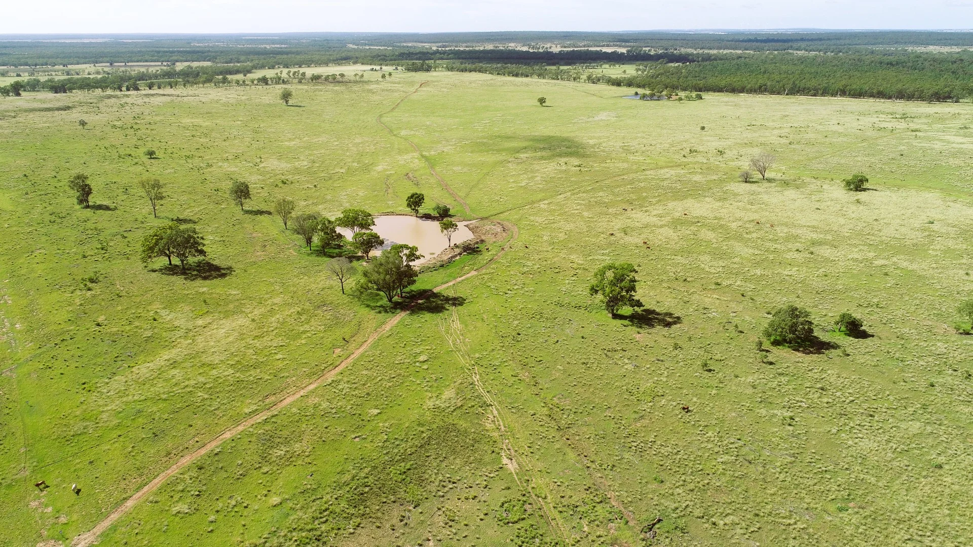 'Langley' 344 Clarke Creek Road, Dulacca QLD 4425