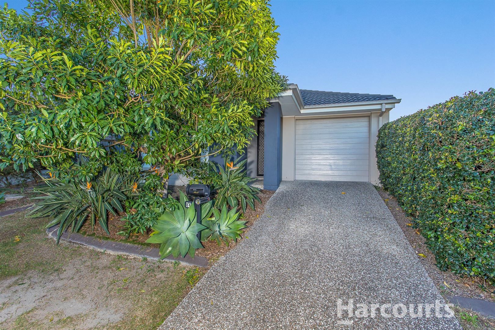 84 Mackintosh Drive, North Lakes Property History & Address Research