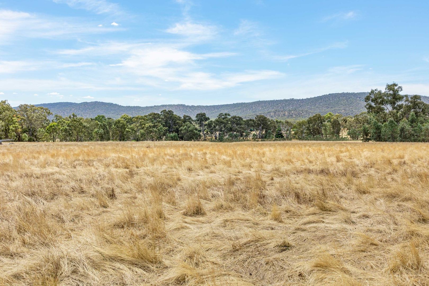 Cemetery Road, Landsborough VIC 3384, Image 1