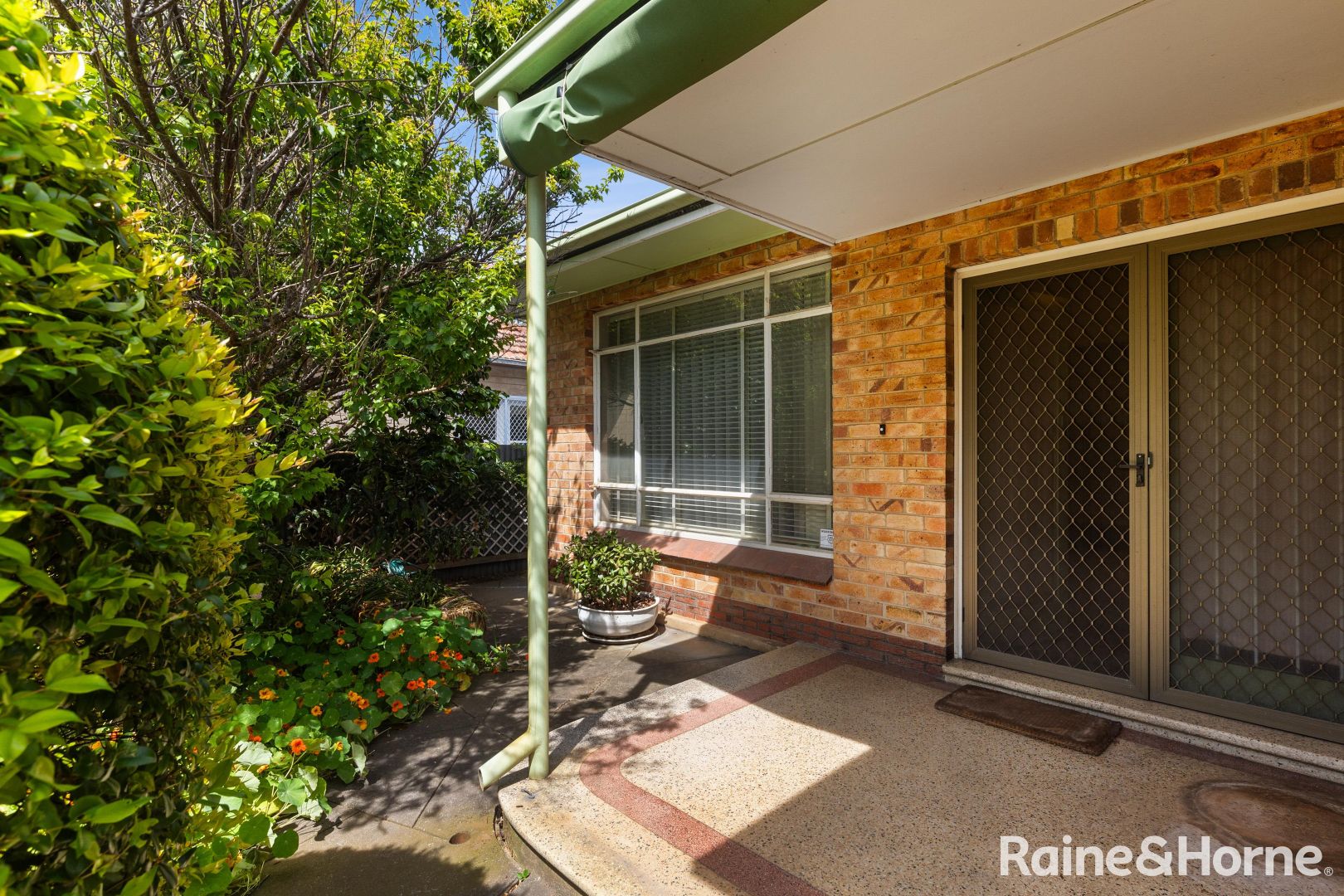 14 Wood Street, Kurralta Park SA 5037, Image 2