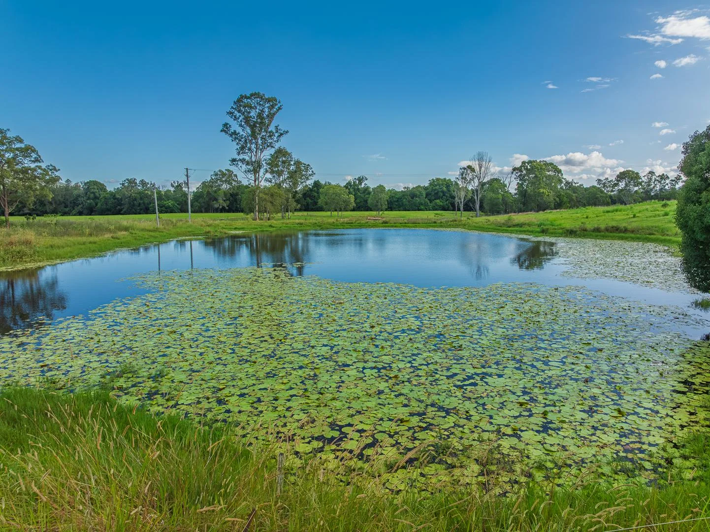 Additional image 65 of 40 McGinn Road, Gheerulla QLD 4574