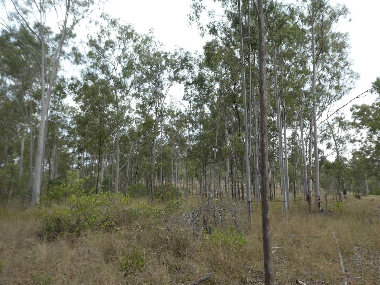 Campbell Creek QLD 4625, Image 1