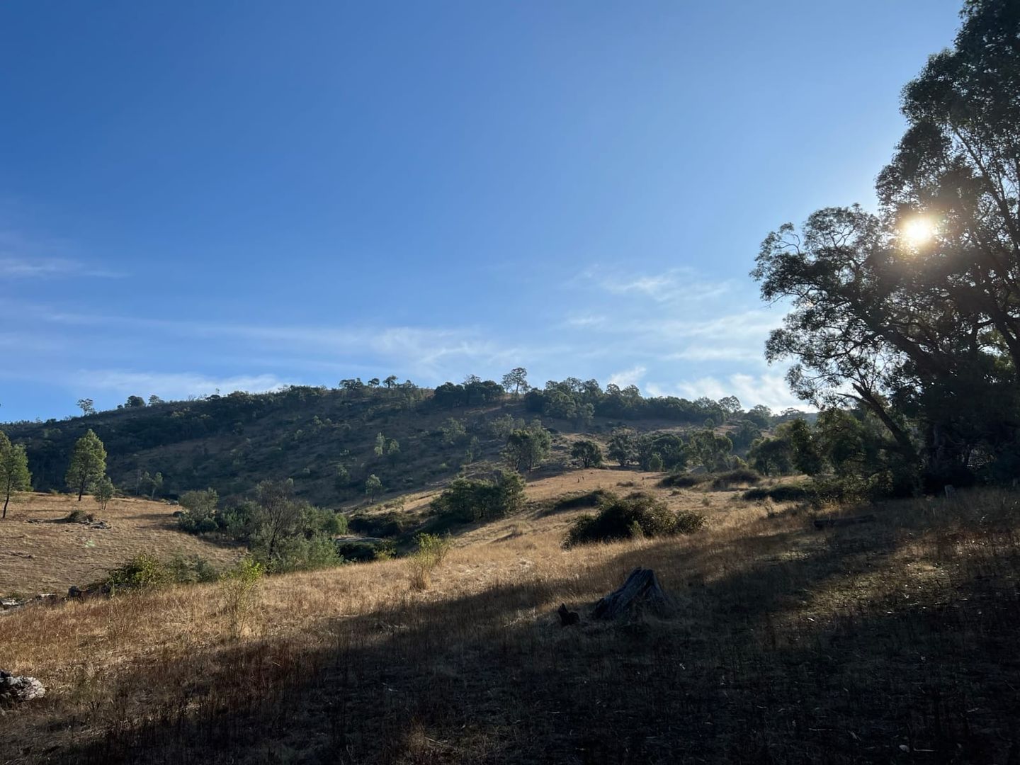 Lot 1 750 Harrys Creek Road, Violet Town VIC 3669 Rural Lifestyle