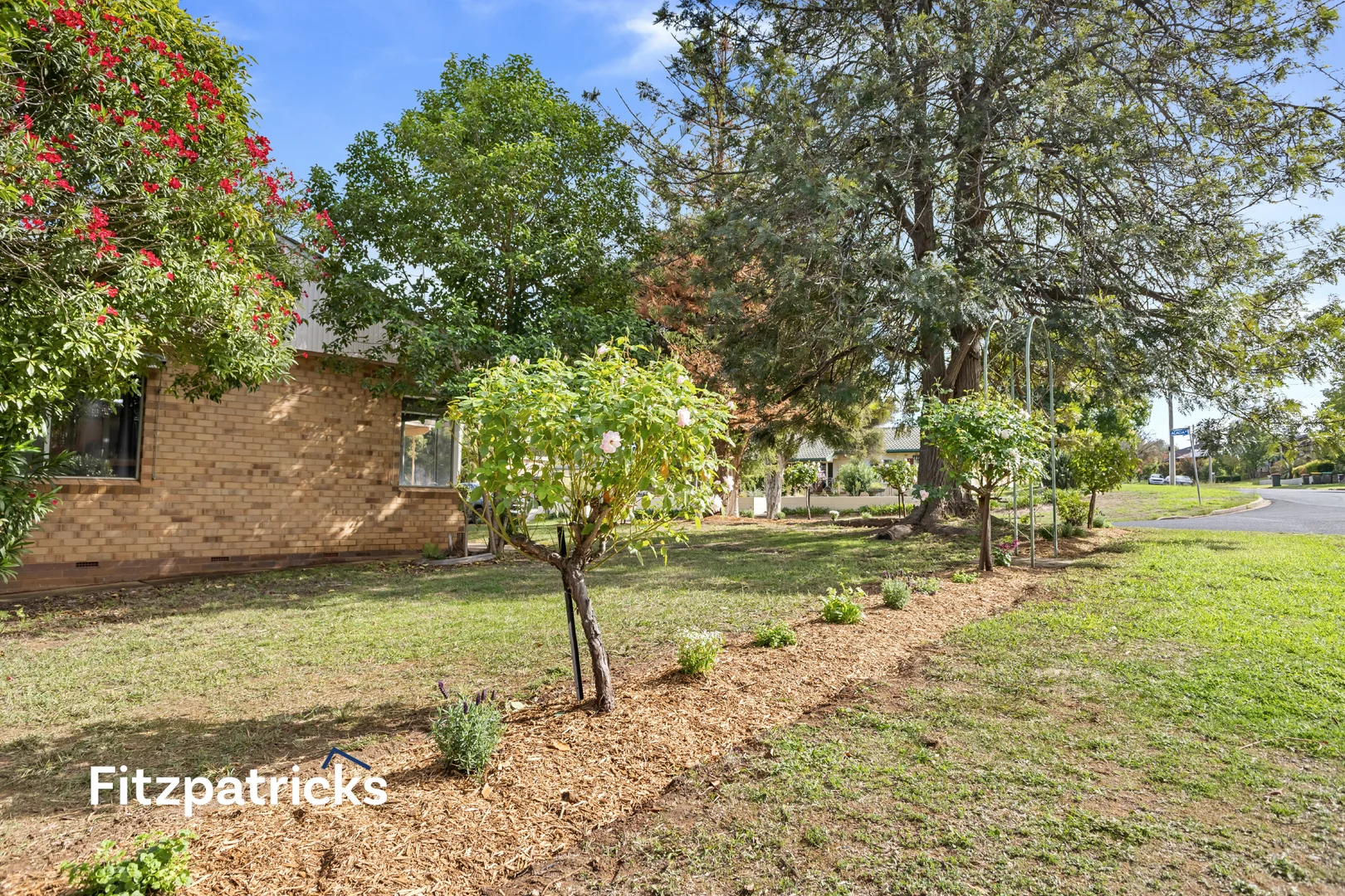 Additional image 18 of 7 White Avenue, Kooringal NSW 2650