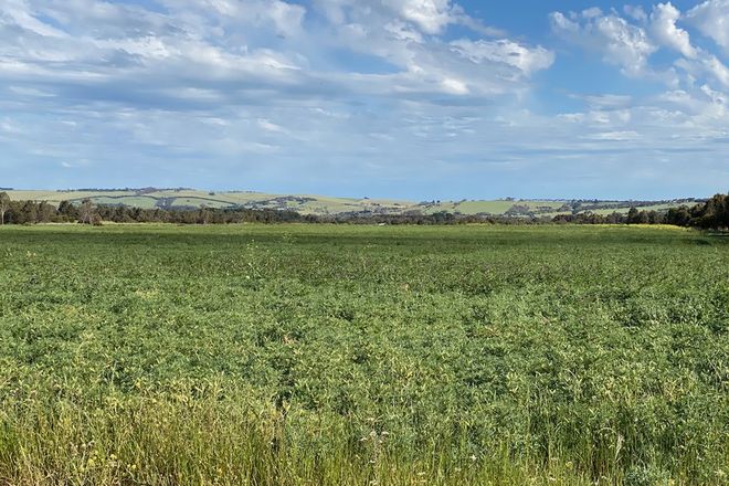 Picture of 7, Sec. 9 Friend in Hand Road, STONEHAVEN VIC 3218