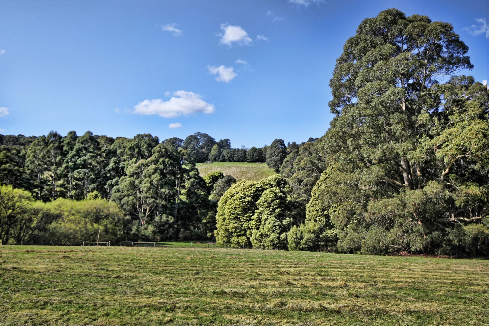 Image 15