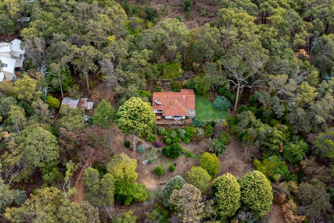 Image 18