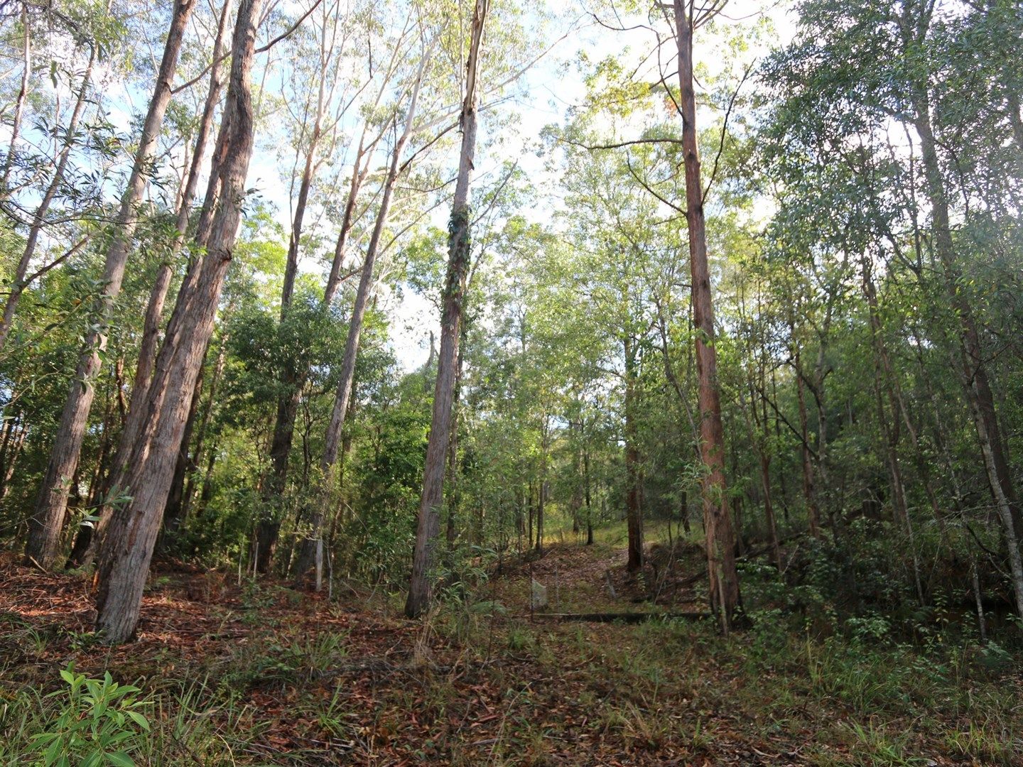 Lot 68 Ashby-Tullymorgan Road, Ashby NSW 2463, Image 0