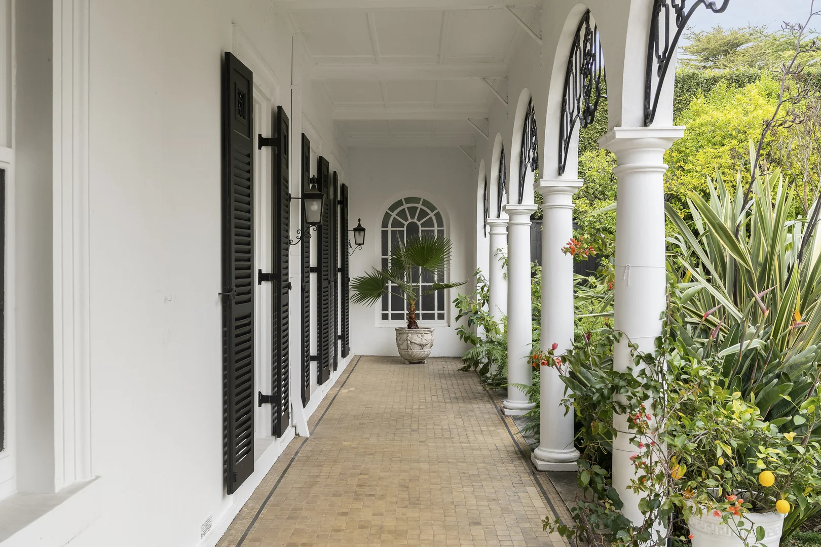 Image 20