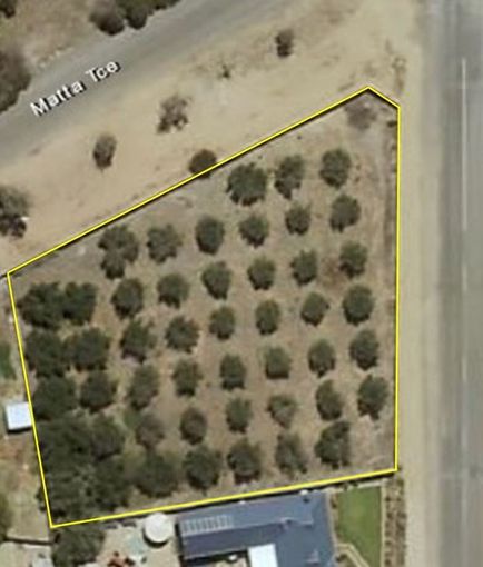 12 Matta Terrace, Port Clinton SA 5570 Domain