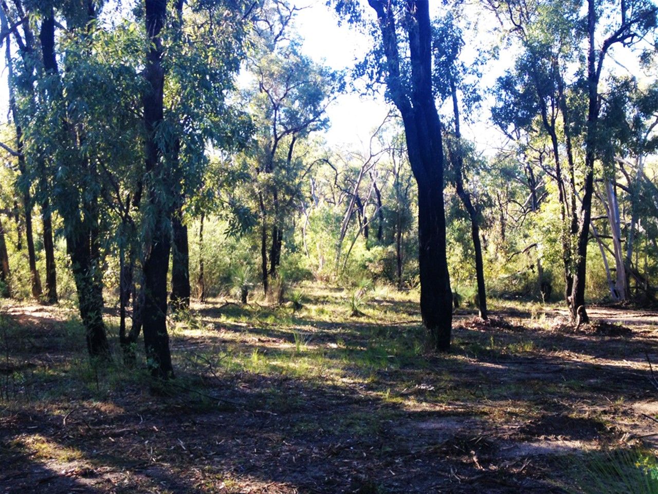 Coolah NSW 2843 Vacant Land for Sale 349,000 Domain
