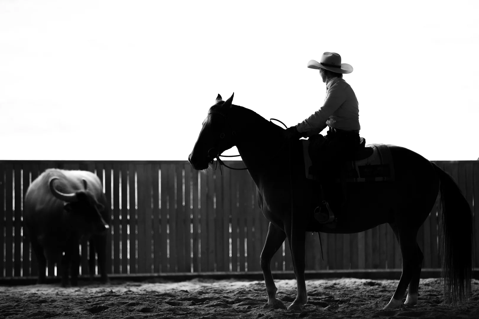 Additional image 26 of 1664 Ogunbil Road, Ogunbil NSW 2340