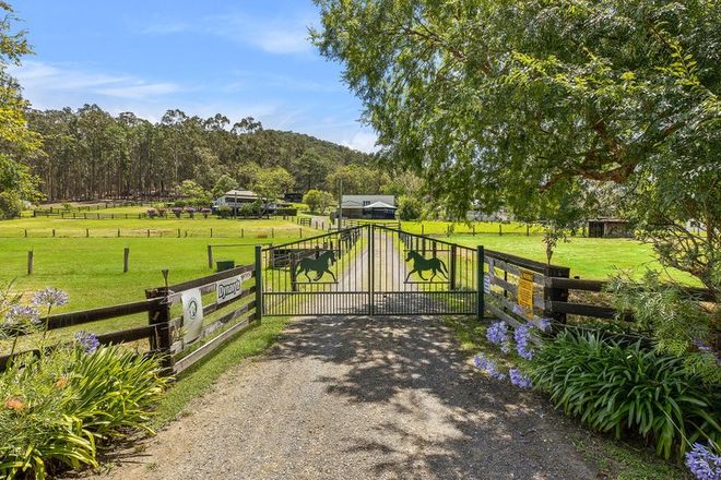 Picture of 1086 Yarramalong Road, WYONG CREEK NSW 2259