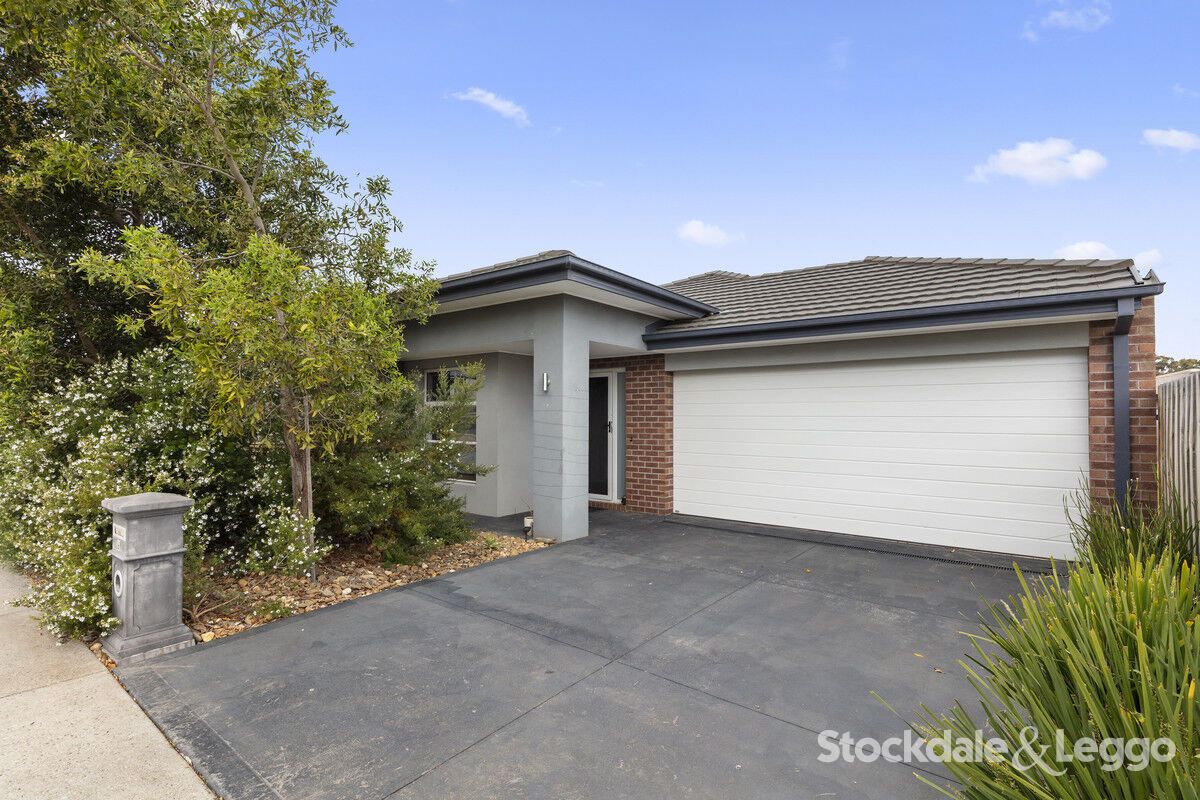 6 Elise Road, Clifton Springs VIC 3222 House For Rent Domain