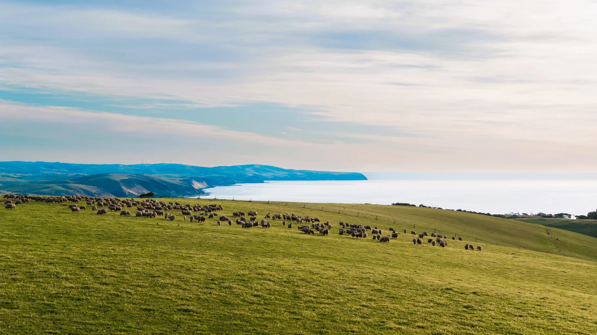 Lot 51 Smith Hill Road, Carrickalinga SA 5204