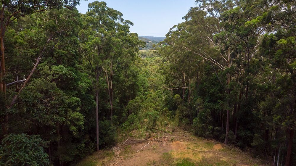 200 Towen Mountain Road, Towen Mountain QLD 4560, Image 1